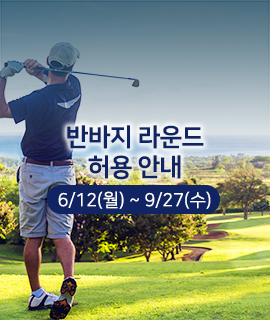 인스타이미지