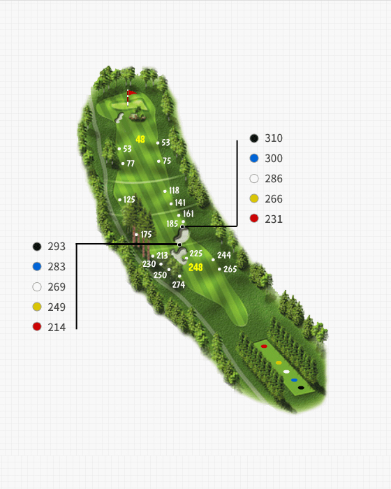 Couse 7 Hole