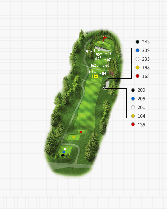 Couse 3 Hole