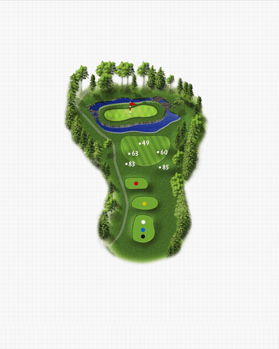 Couse 3 Hole