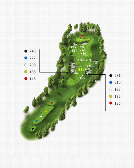 Couse 4 Hole