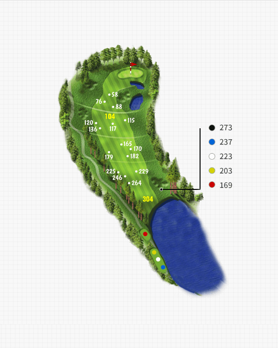 Couse 5 Hole