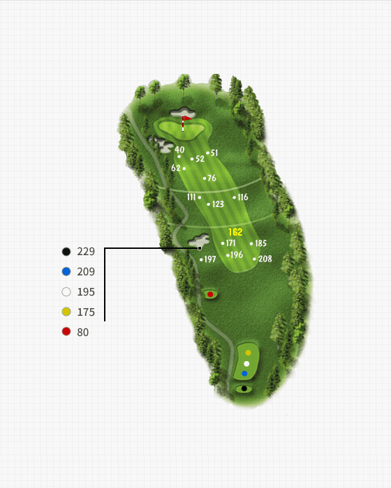 Couse 6 Hole