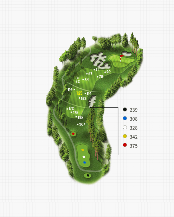 Couse 9 Hole