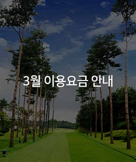 인스타이미지