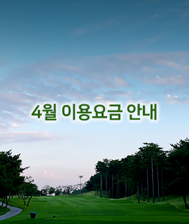 인스타이미지